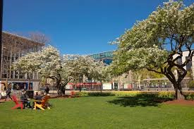 Northeastern Illinois University